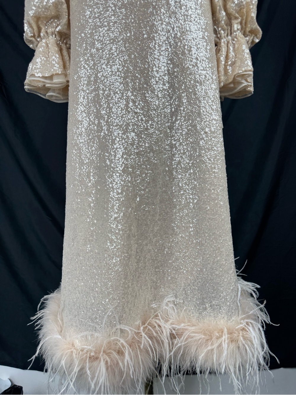 Antonio Melani Nicola Bathie Sequin Feather Trim Maxi Skirt Set Champagne - Picture 11 of 16